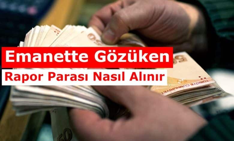 Rapor Odemesi Emanete Alindi Ne Demek