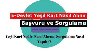 Yeşil Kart Nedir, Nasıl Alırım, Sorgulama Nasıl Yapılır