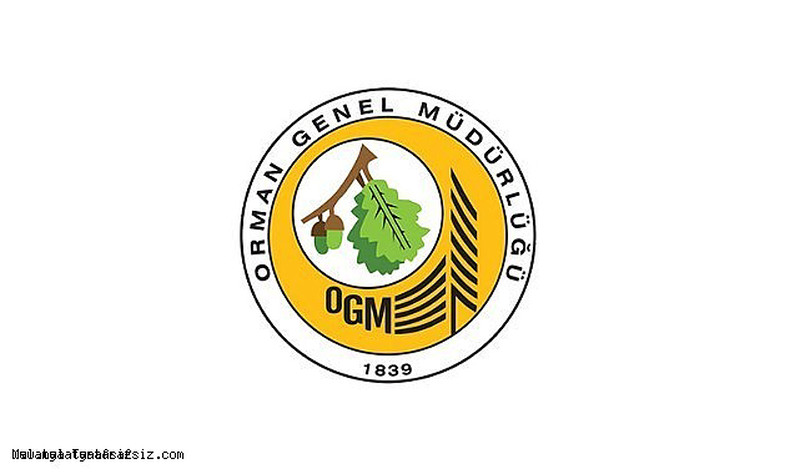 orman-genel-mudurlugu-personel-alimi (3)